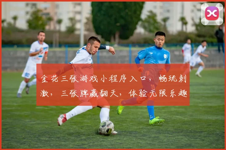 金花三张游戏小程序入口，畅玩刺激，三张牌赢翻天，体验无限乐趣，快来加入