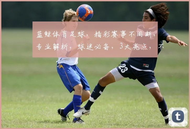 蓝鲸体育足球，精彩赛事不间断，专业解析，球迷必备，3大亮点，不容错过
