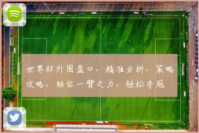 世界杯外围盘口，精准分析，策略攻略，助你一臂之力，轻松夺冠