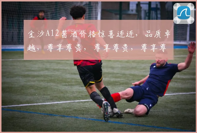 金沙A12酱酒价格惊喜连连，品质卓越，尊享尊贵，尊享尊贵，尊享尊贵